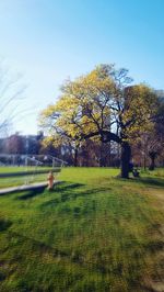 Scenic view of grassy field against sky