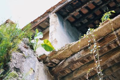 Low angle view of traditional building against sky