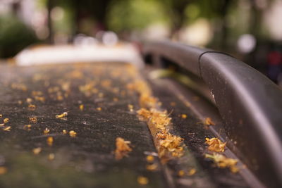 Close-up of metal railing on footpath