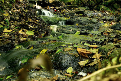 High angle view of water flowing over river