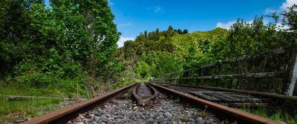 Railroad track amidst trees against sky