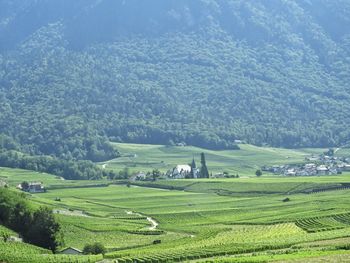 High angle view of agricultural landscape