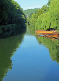 Scenic view of river in forest against sky