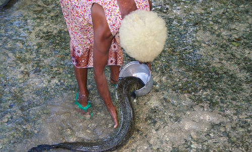 Woman feeding eel in shallow water