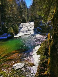 Stream flowing through rocks in forest