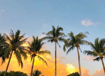 Low angle view of palm trees against sky during sunset