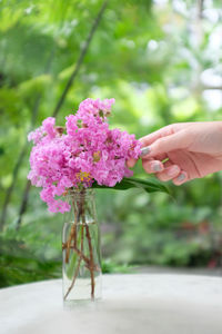 Cropped hand of woman touching flowers in yard