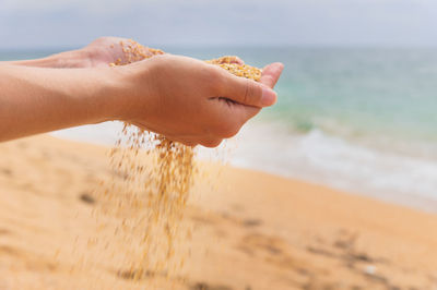 Cropped hand of person on beach