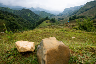 Scenic view of field against mountains