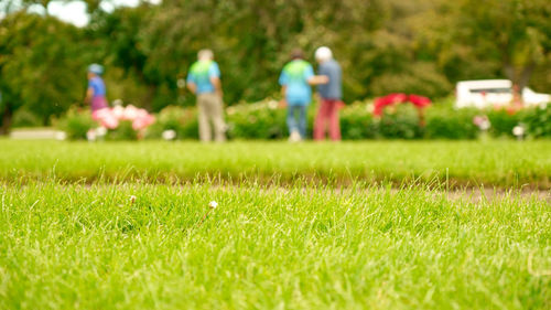 People on grassy field