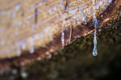 Close-up of frozen water