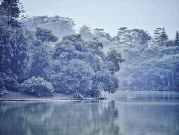 Reflection of tree in lake against sky