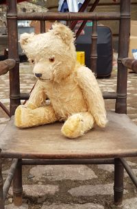 Close-up of dog sitting on chair