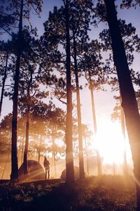 Silhouette woman amidst trees during sunset