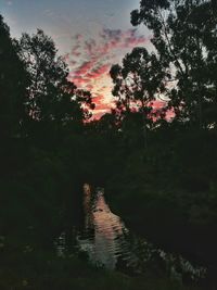 Silhouette trees against sky during sunset