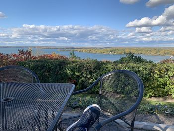 Low section of trees by sea against sky