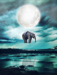 Digital composite image of elephant in sea against sky