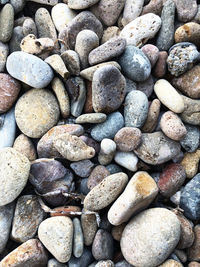 High angle view of stones