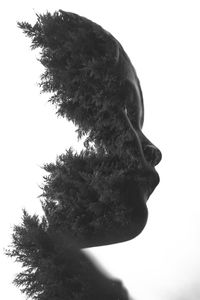 Close-up of tree against clear sky