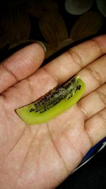 Close-up of hand holding leaf