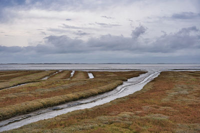 Scenic view of beach against sky