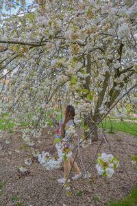 Low angle view of woman standing by flowering tree