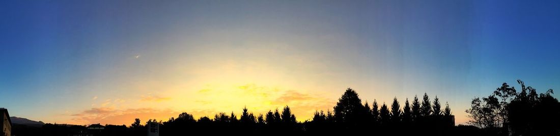 Low angle view of silhouette trees against sky at sunset