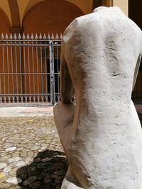 Close-up of a horse