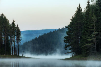 Scenic view of waterfall in forest against sky