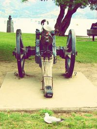 Bench in park