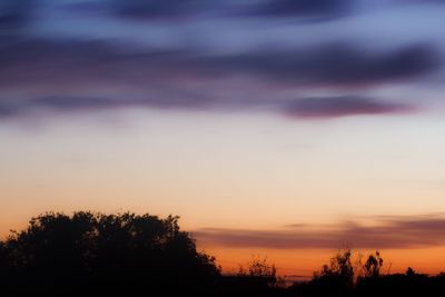 Silhouette trees against dramatic sky during sunset