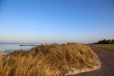 Scenic view of road against clear sky