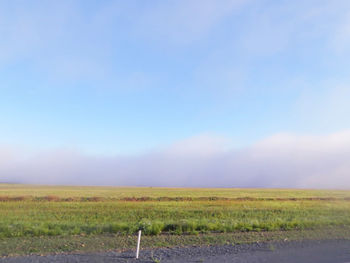 Scenic view of field against blue sky