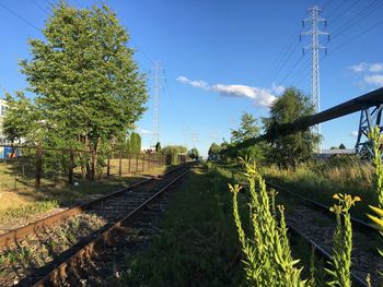 Railroad tracks amidst trees on field against sky