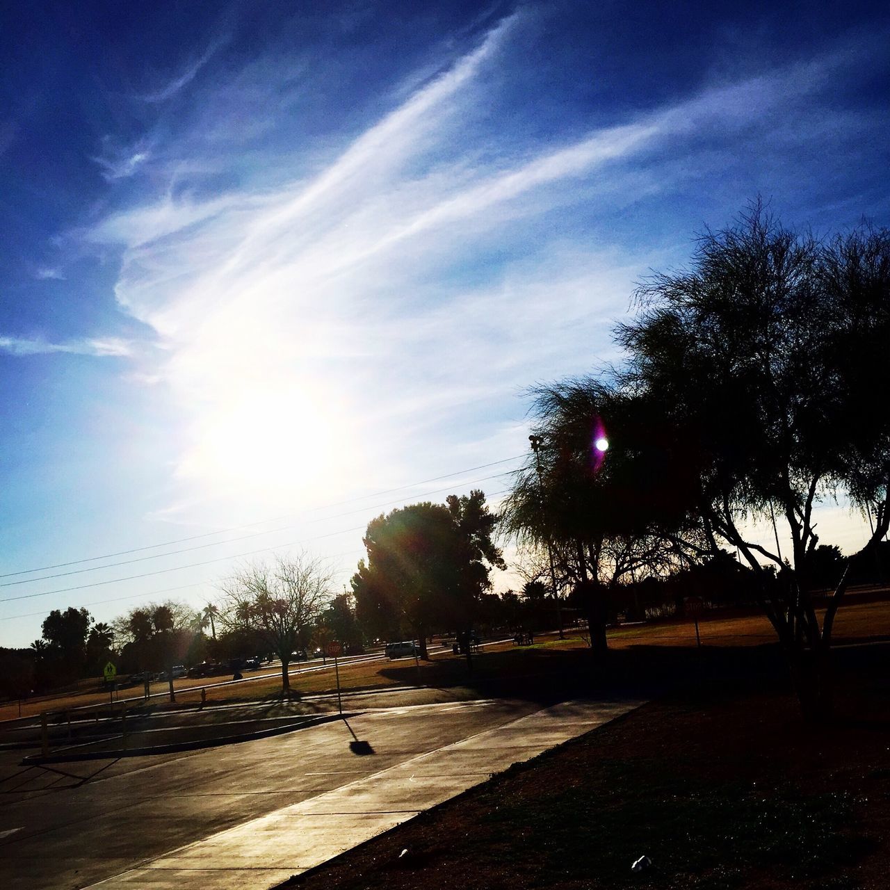 tree, sun, sky, sunlight, sunbeam, lens flare, silhouette, sunset, cloud - sky, built structure, architecture, nature, building exterior, cloud, outdoors, blue, sunny, tranquility, street light, shadow