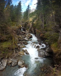 Scenic view of waterfall in forest against sky