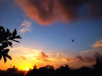 Low angle view of silhouette trees against sky during sunset