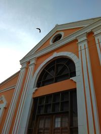 Low angle view of birds flying in city against sky