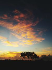 Silhouette trees against sky during sunset