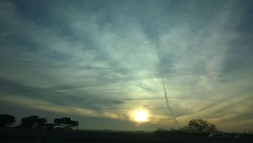 Sun shining through trees