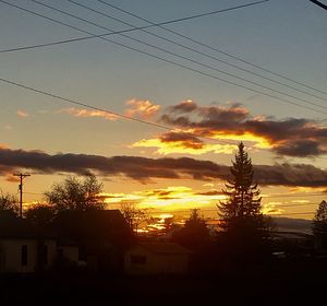 Silhouette trees against sky during sunset