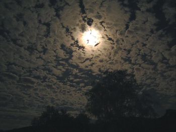 Low angle view of trees against sky