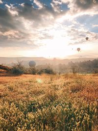 Scenic view of grassy field against sky during sunset