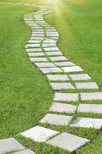 High angle view of footpath in garden