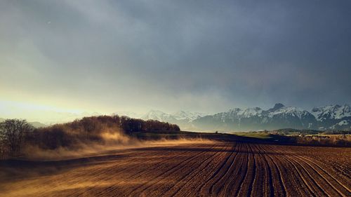 Scenic view of agricultural field against sky