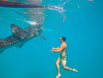 Me swimming with a whale shark in oslob, cebu, philippines december 2022