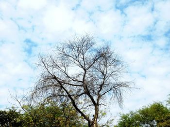 Low angle view of bare tree against cloudy sky