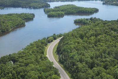 High angle view of river amidst trees