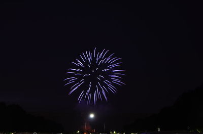 Low angle view of firework display at night