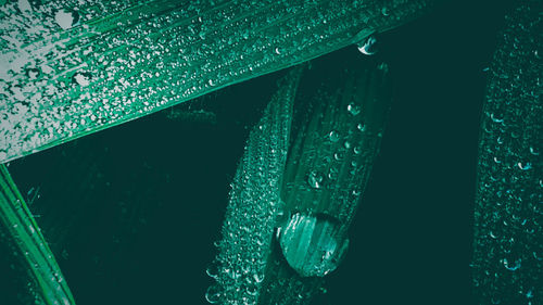 Close-up of water drops on sea